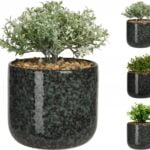 Koopman - Blómapottur m. plöntu (14x22cm)