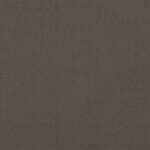 Avelina 9811 (ljósbrúnn)