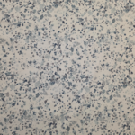 Tricot Splash (150cm - off-white)