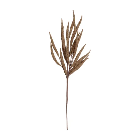 Eightmood – Cris skrautgrein Brún 77cm